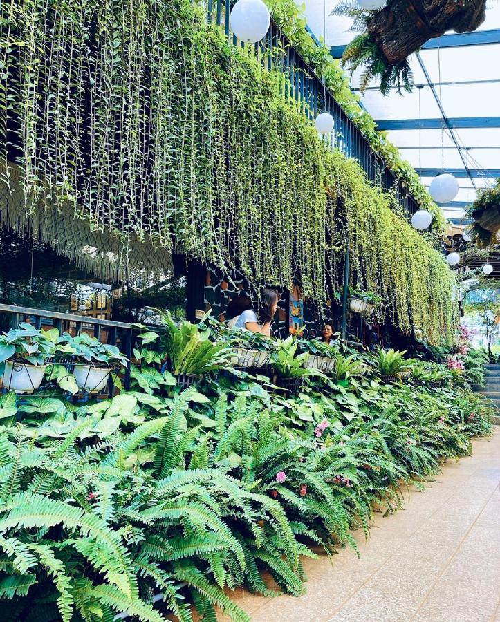 Jrai Homestay 波来古市 外观 照片
